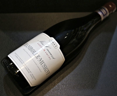 Noisy wine Item Search Engine
